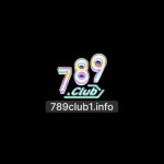 club1info789
