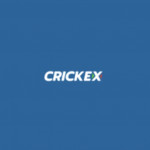 crickexbetorg