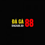 daga88so