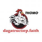 dagatructiepfaith