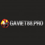 dagatructiepgaviet88