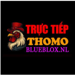 dagatructiepxyzblueblox