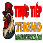 dagatructiepxyzcom
