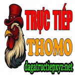 dagatructiepxyznet