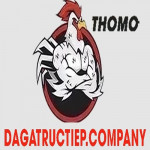 dagavincompany