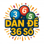 dande36soqg