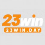 day23win