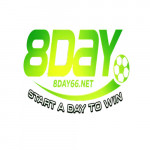 day66net8