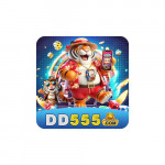 dd555betcom