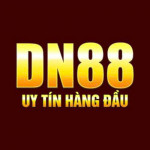 dn88uscom1