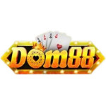 dom88miami