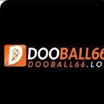 dooball66lol