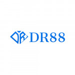 dr88vnapp