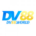 dv88world