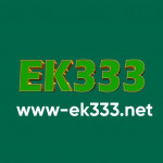 ek333netapp