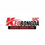 euroebikevn