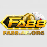 fa88aeorg1