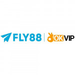 fly888itcom