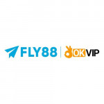 fly88deal012026