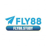 fly88study