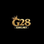 g28gnet