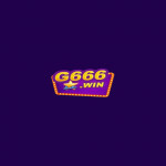 g6666net