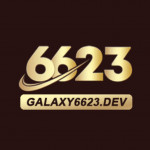 galaxy6623dev