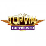 gametopvininfo