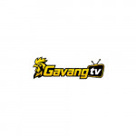 gavangtvttbd