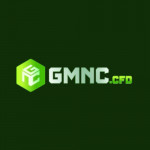 gmnccfd