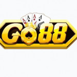 go88biman1