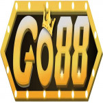 go88go88today