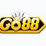 go88nzmatt1