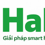 hahuvietnamcomne