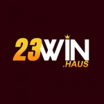 haus23win