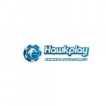 hawkplayphcomco