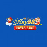hay88band