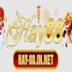 hay88innet