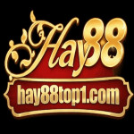 hay88top1com1