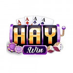 haywinicom