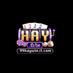 haywinitcom11