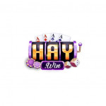 haywinonline1