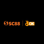 hc2sc888com1