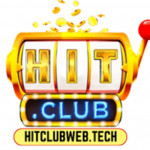 hitclubwebtech