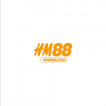 hm8886com2