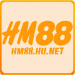 hm88hunet