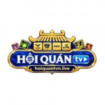 hoiquantvnlive