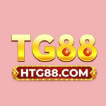 htg88com