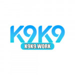 k9k9work