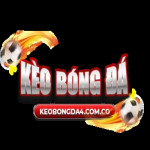 keobongda4comco1
